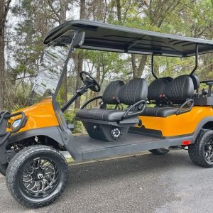 Custom Club Car 6 Passenger Petrol for sale