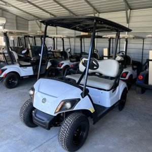 2024 Yamaha Golf-Car Drive 2 PTV Powertech LI Petrol for sale