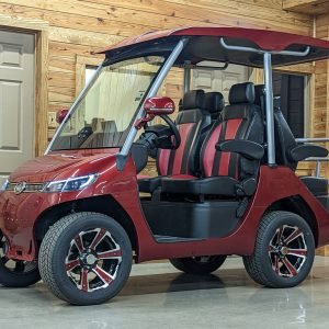 2022 Evolution Electric Vehicles D3 For sale